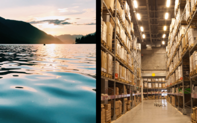 Data Lake vs. Data Warehouse – How we Chose the Right Solution for our Data Insights Offering