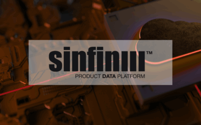 Sinfin: Client Case Study